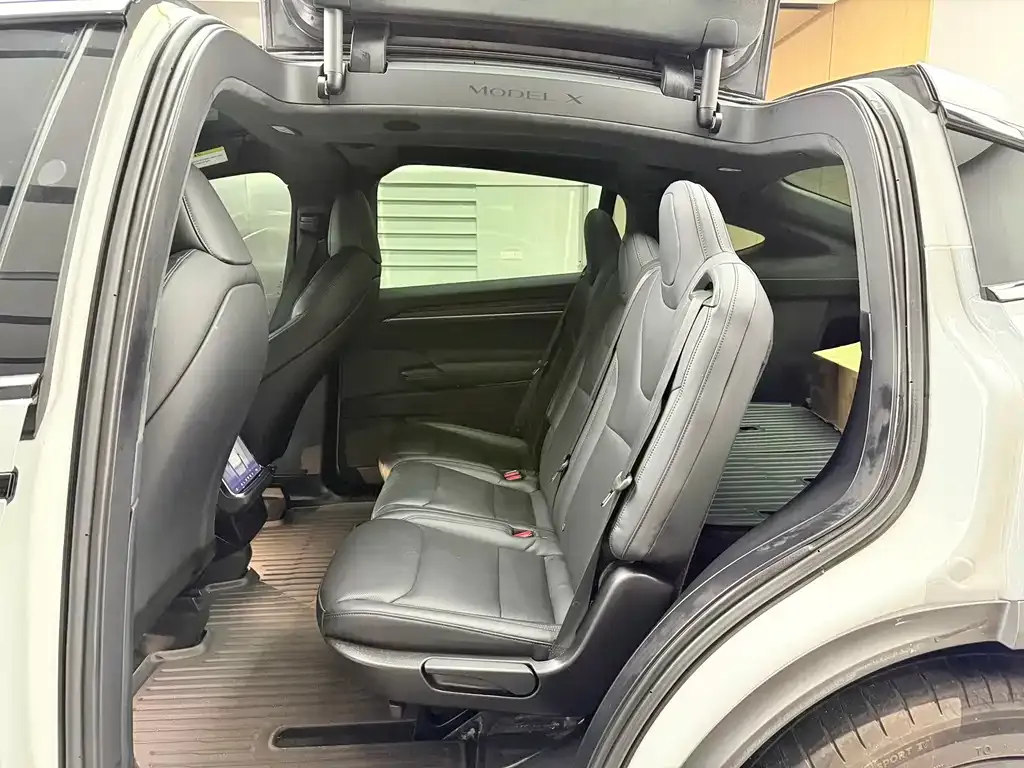 Tesla Model X — фото 8