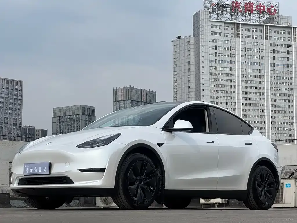 Tesla Model Y — фото 1