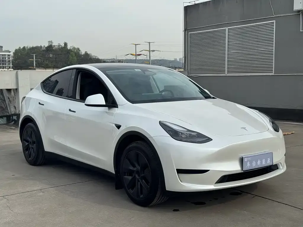 Tesla Model Y — фото 9