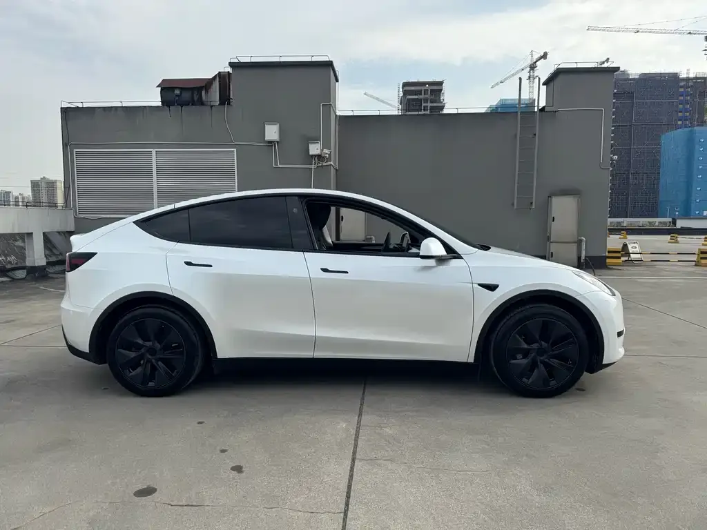 Tesla Model Y — фото 7