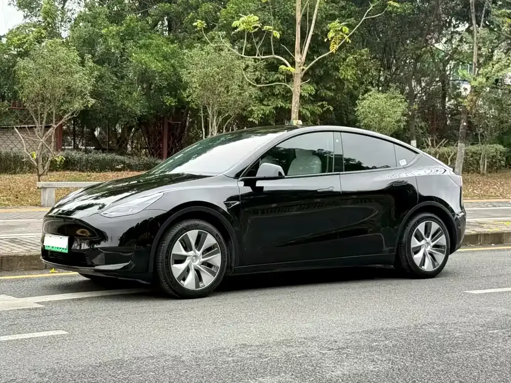 Tesla Model Y 2022 из CN, фото 1