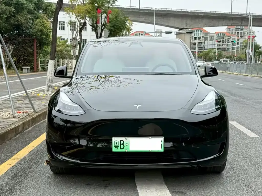 Tesla Model Y 2022 из CN, фото 6