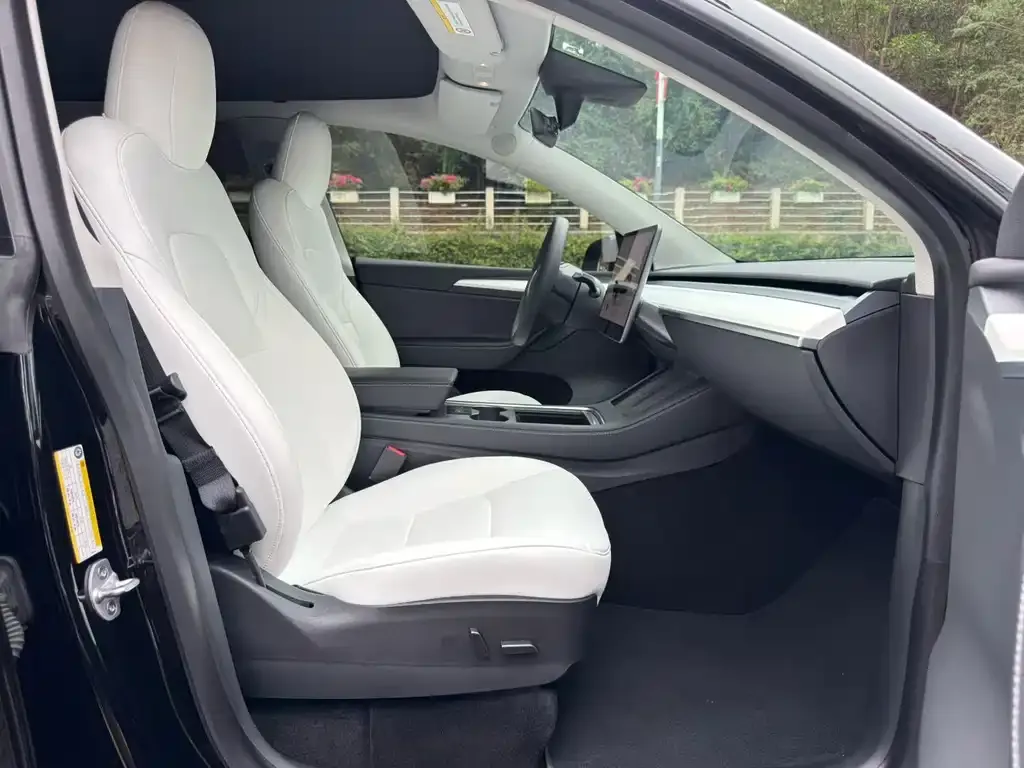 Tesla Model Y 2022 из CN, фото 4