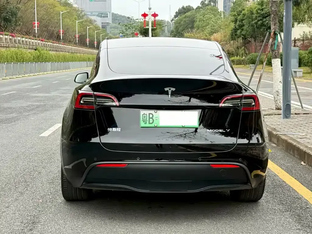 Tesla Model Y 2022 из CN, фото 5