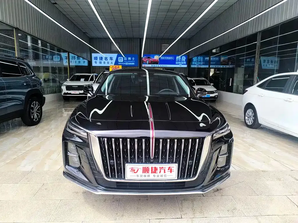 Hongqi H5 — фото 5