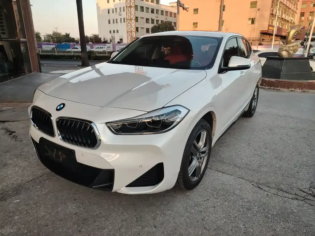 BMW X2 2023 из CN, фото 1