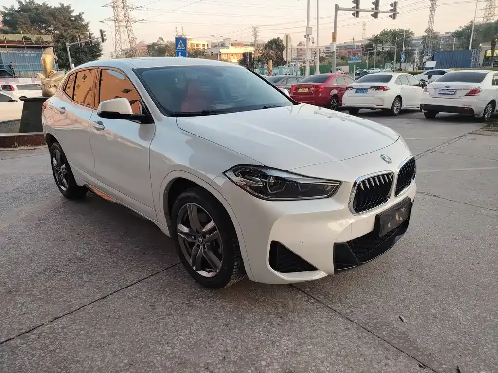 BMW X2 2023 из CN, фото 9