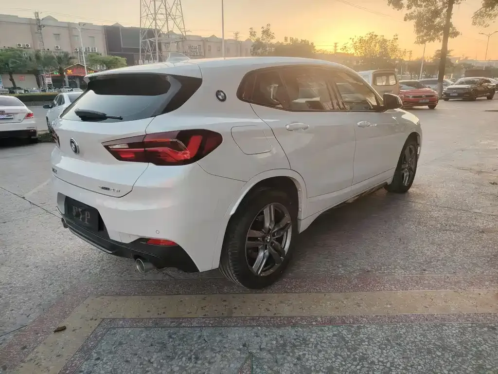 BMW X2 2023 из CN, фото 4