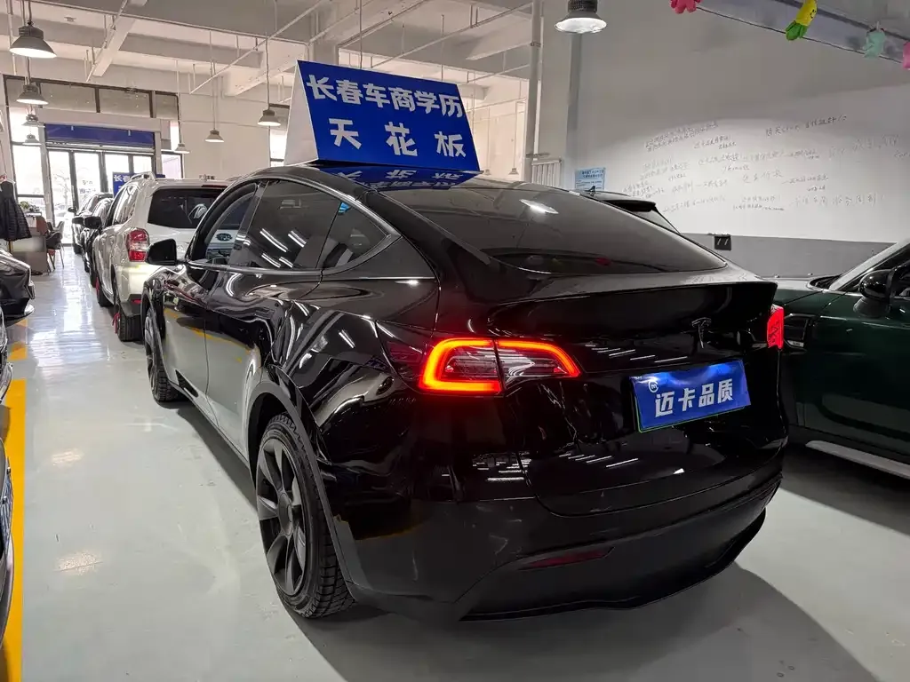 Tesla Model Y — фото 3