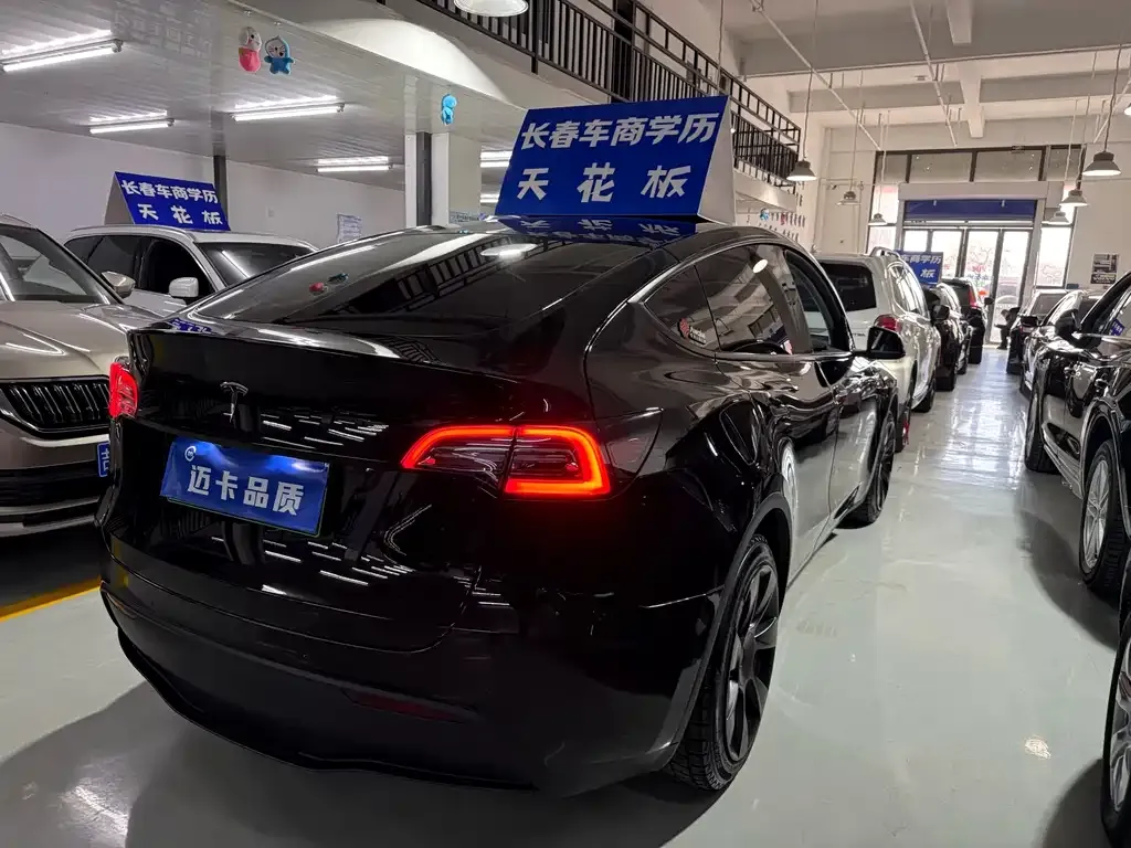 Tesla Model Y — фото 8