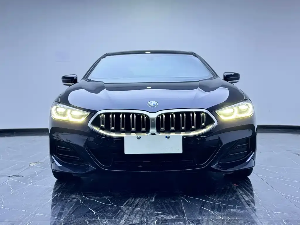 BMW 8 Series — фото 3