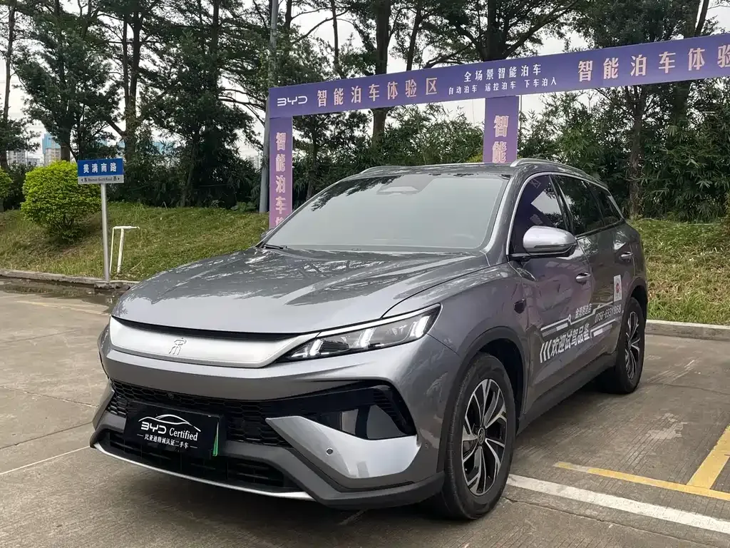 BYD Pro New Energy 2025 из CN, фото 1