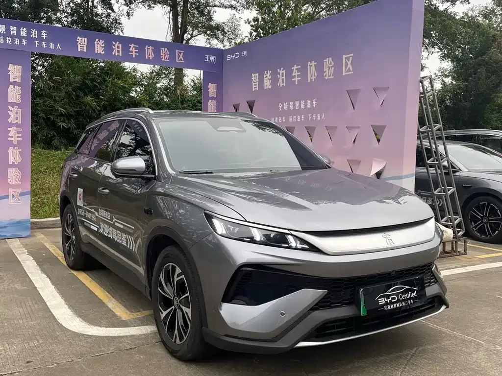 BYD Pro New Energy 2025 из CN, фото 9