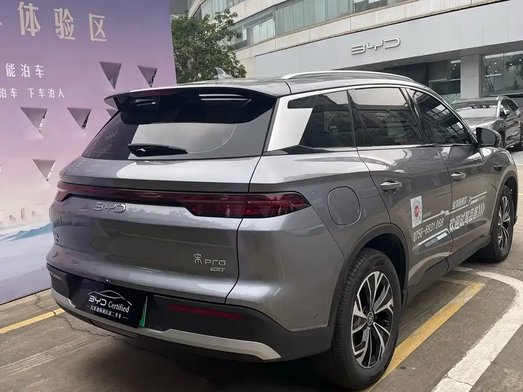 BYD Pro New Energy 2025 из CN, фото 10