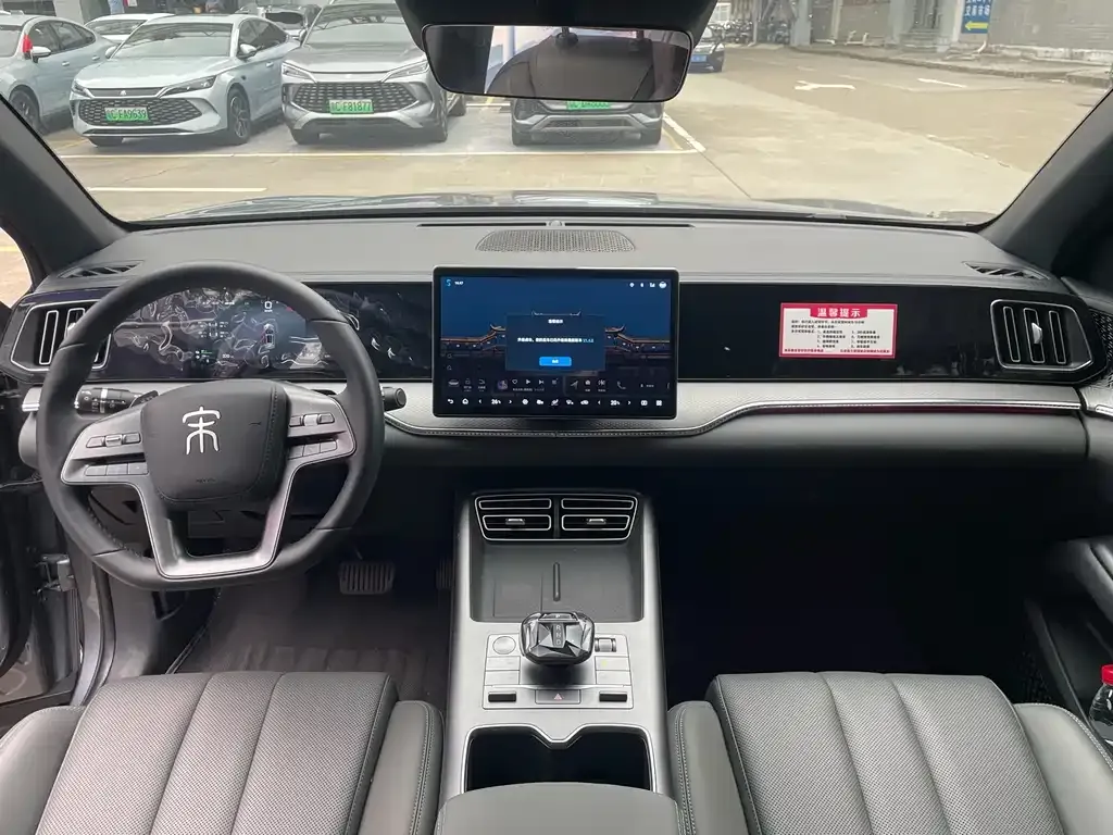 BYD Pro New Energy 2025 из CN, фото 5