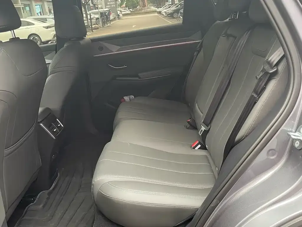 BYD Pro New Energy 2025 из CN, фото 3