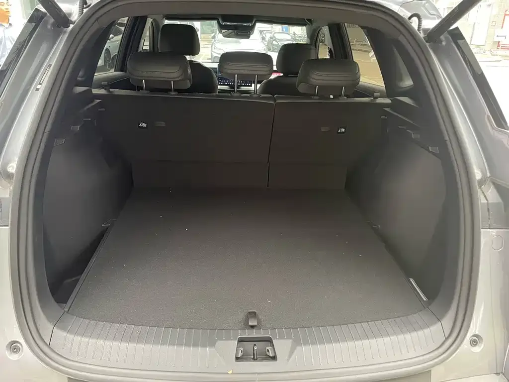 BYD Pro New Energy 2025 из CN, фото 6