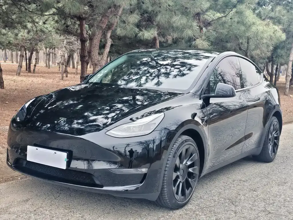 Tesla Model Y — фото 1