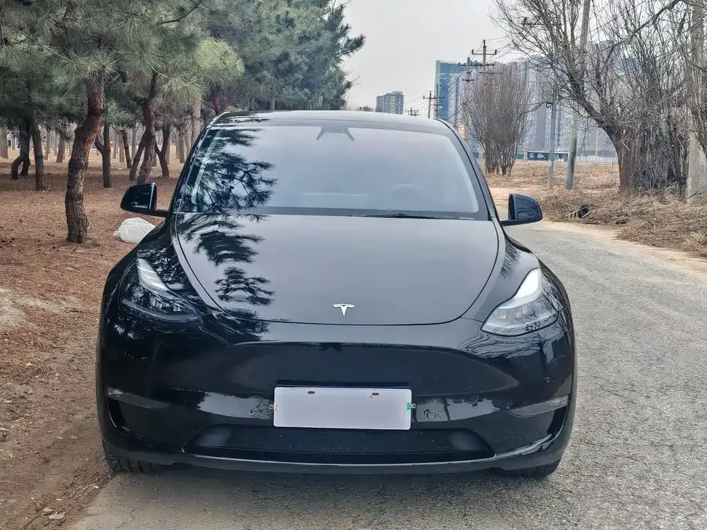 Tesla Model Y — фото 5