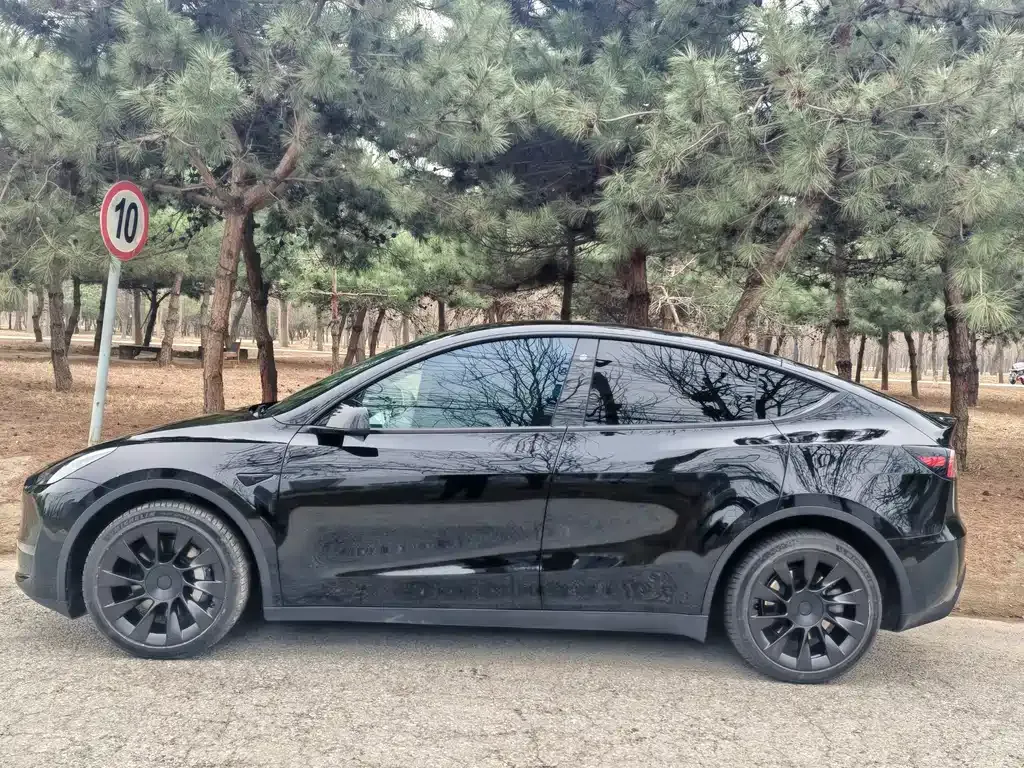 Tesla Model Y — фото 7