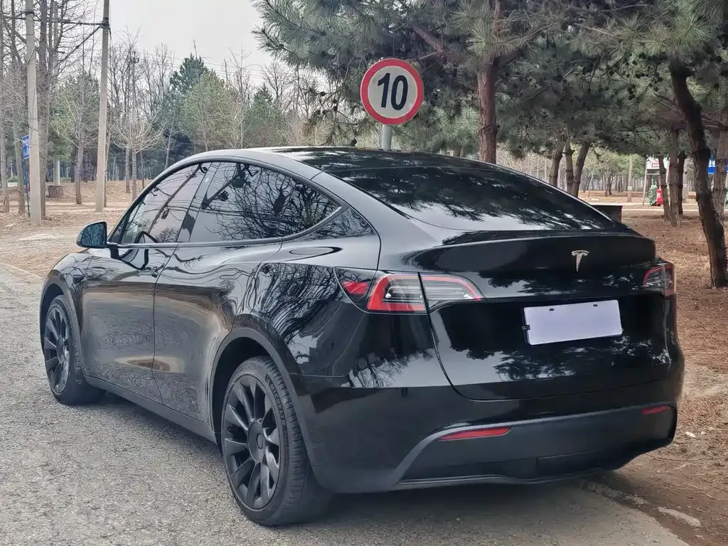Tesla Model Y — фото 8