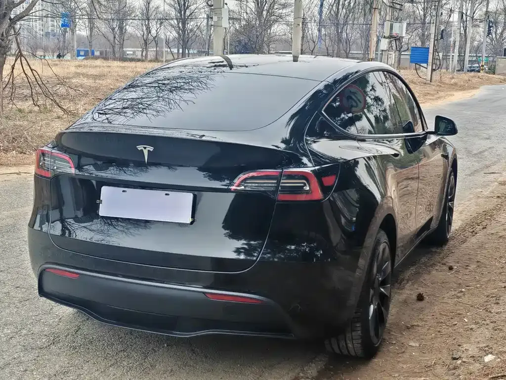 Tesla Model Y — фото 10