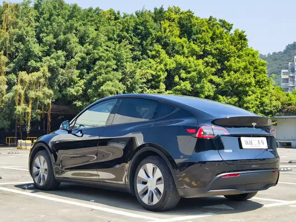 Tesla Model Y 2022 из CN, фото 7