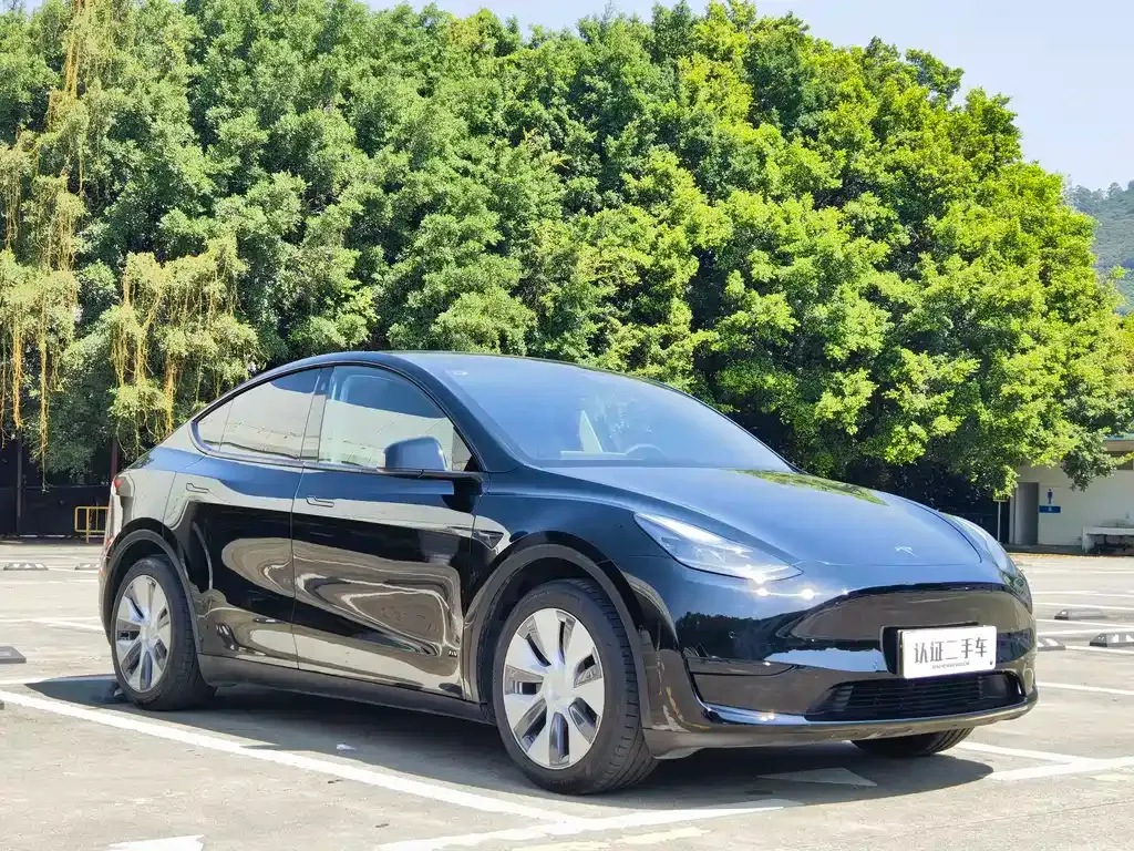 Tesla Model Y 2022 из CN, фото 8