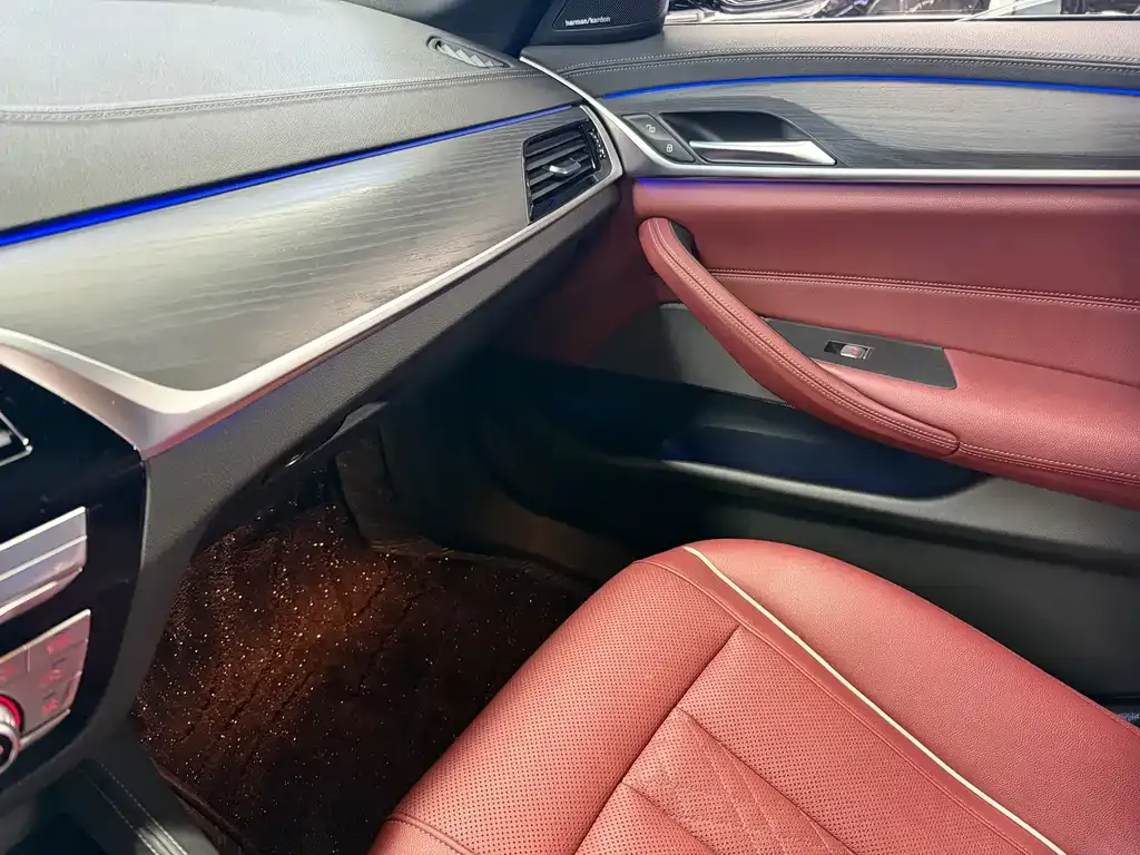 BMW 5 Series 2022 из CN, фото 6