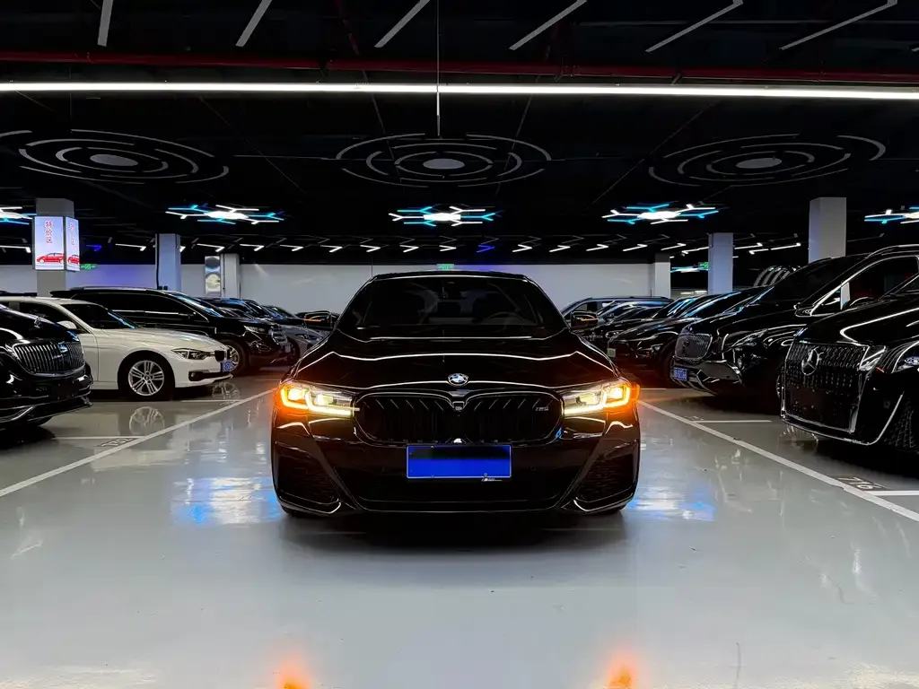 BMW 5 Series 2022 из CN, фото 4
