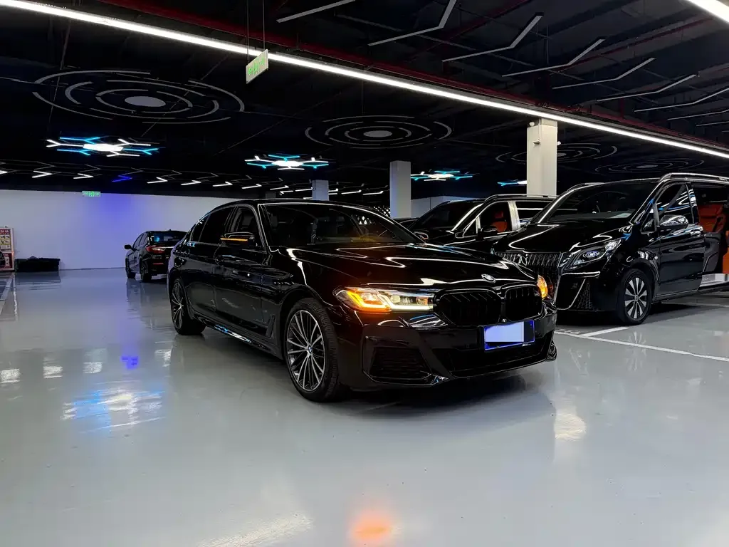 BMW 5 Series 2022 из CN, фото 5
