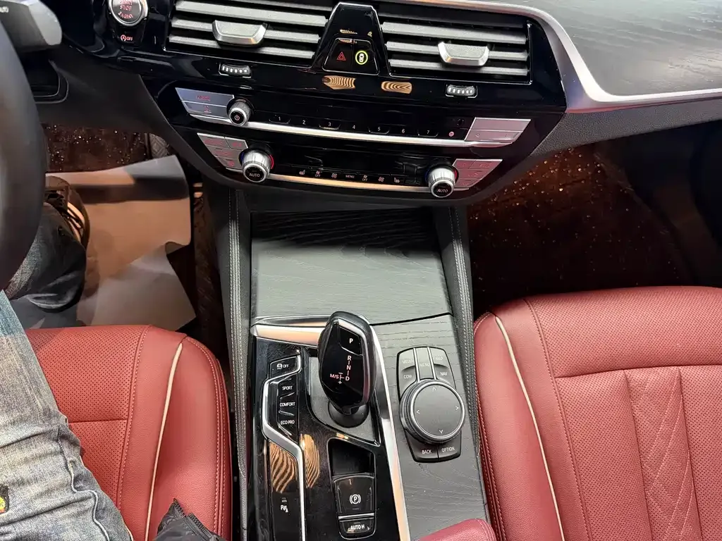 BMW 5 Series 2022 из CN, фото 10