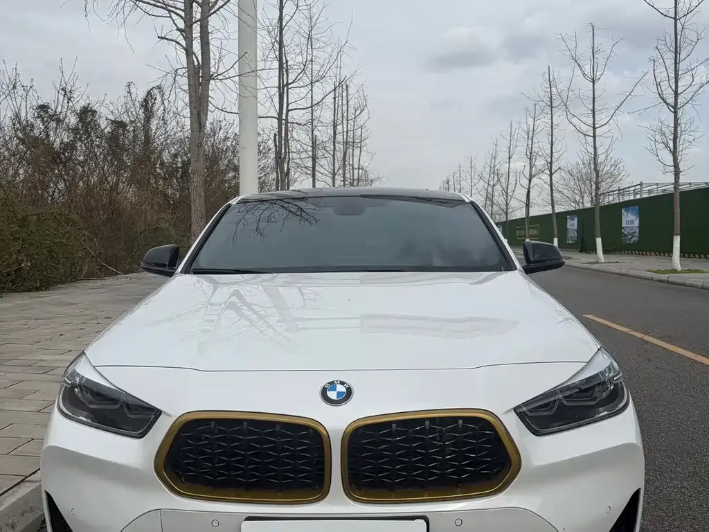 BMW X2 2023 из CN, фото 6
