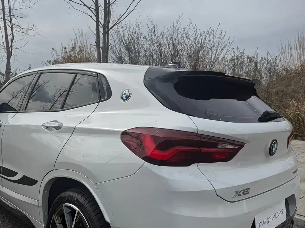 BMW X2 2023 из CN, фото 9