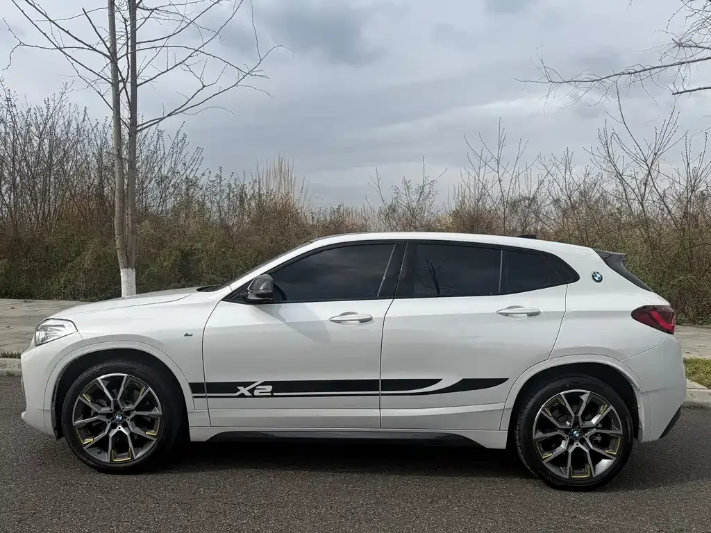 BMW X2 2023 из CN, фото 10