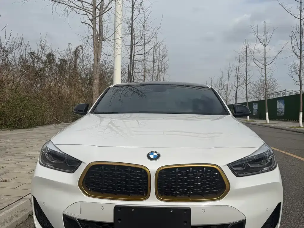 BMW X2 2023 из CN, фото 5
