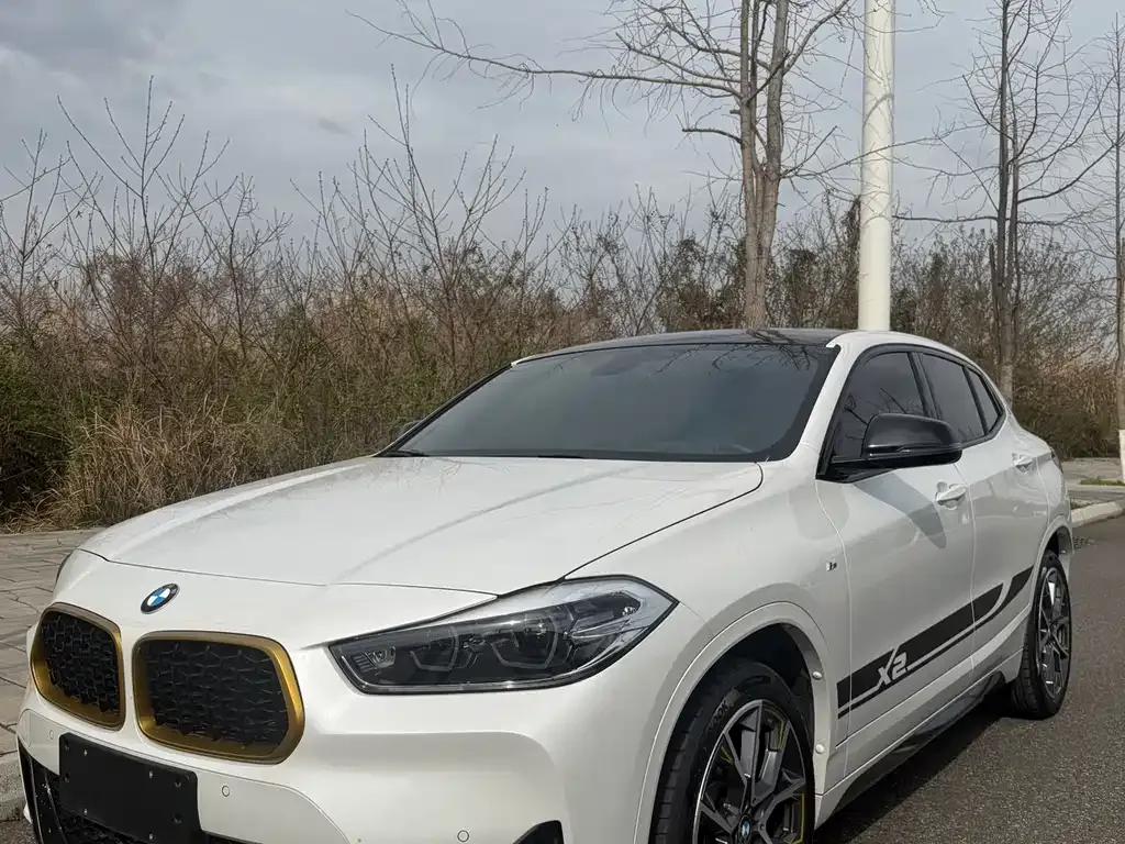 BMW X2 2023 из CN, фото 8