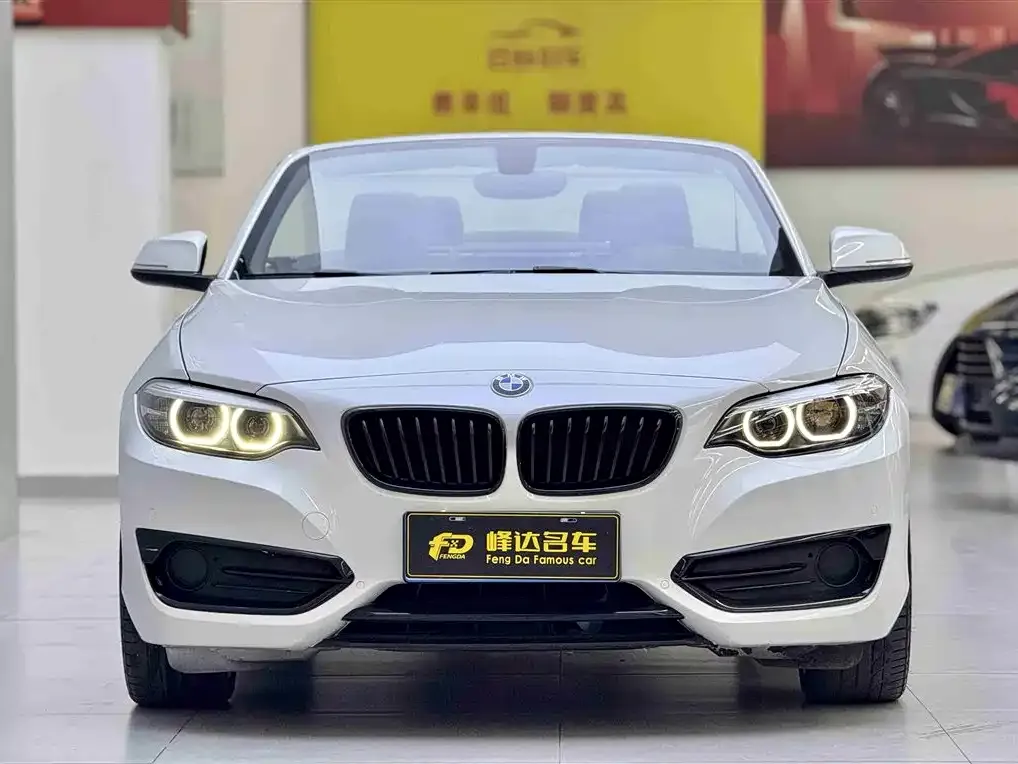 BMW 2 Series (Import) 2021 из CN, фото 4