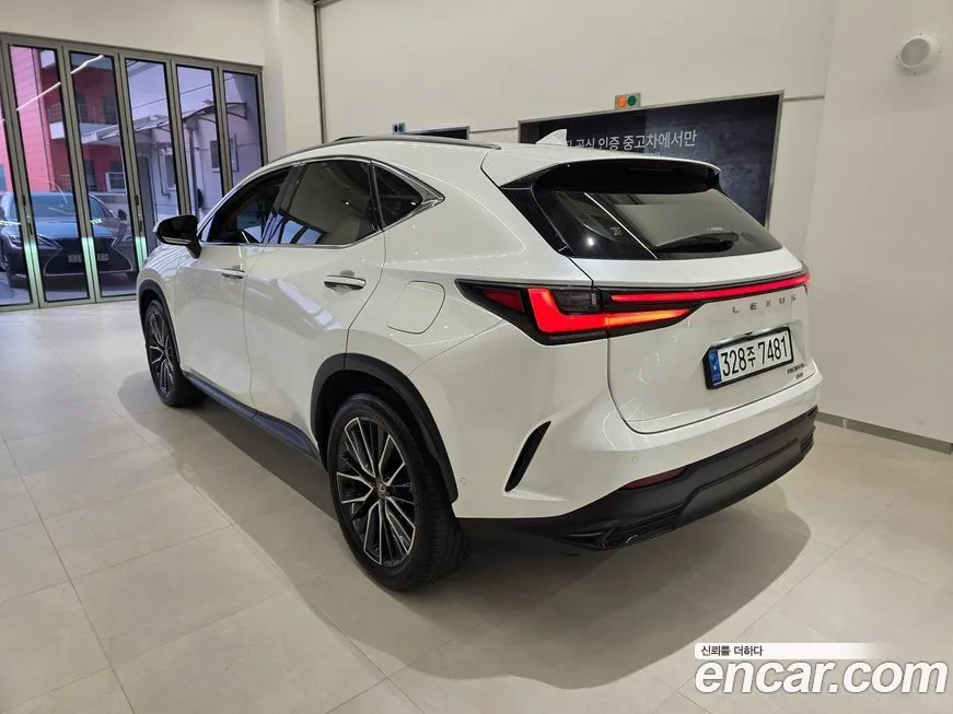 Lexus NX 2024 из KR, фото 6