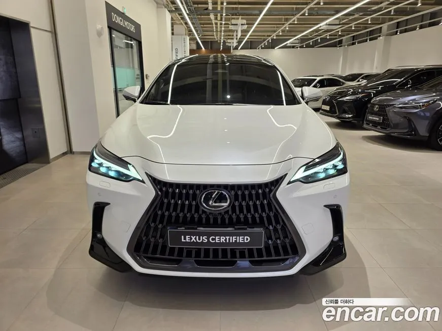 Lexus NX 2024 из KR, фото 7