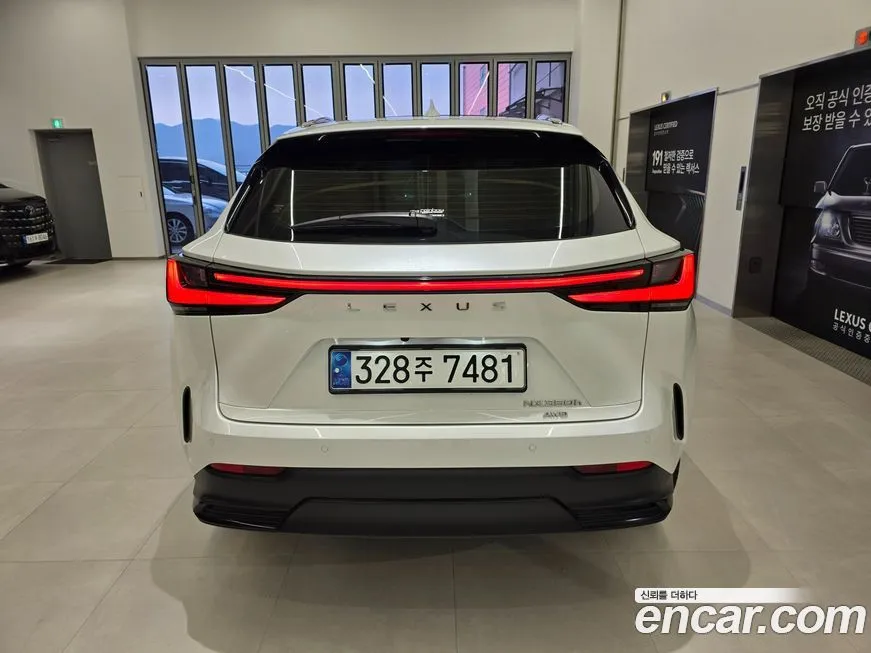 Lexus NX 2024 из KR, фото 2