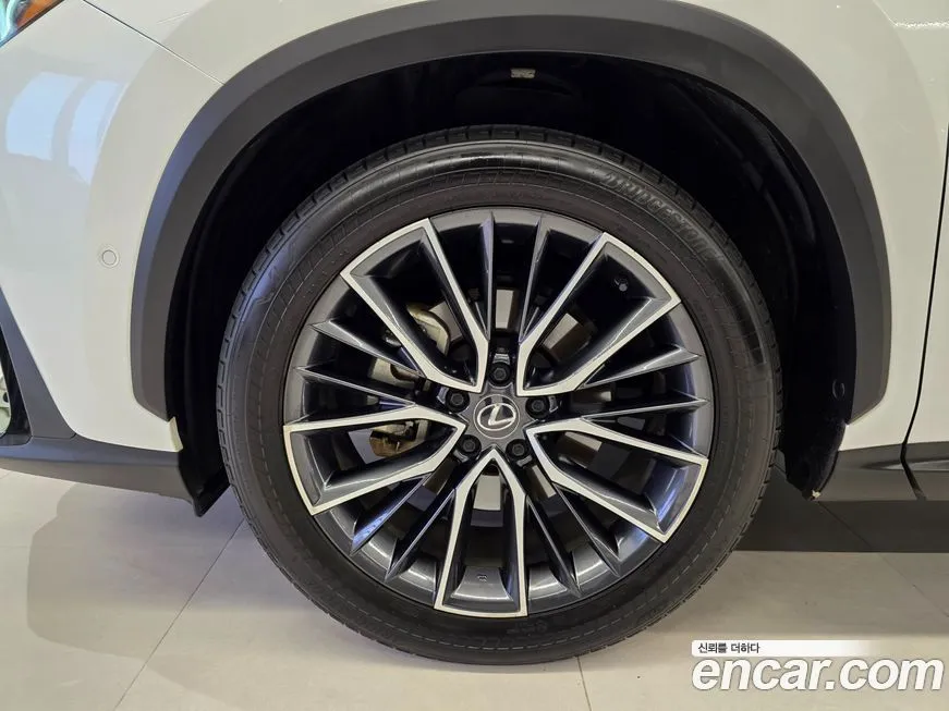 Lexus NX 2024 из KR, фото 8