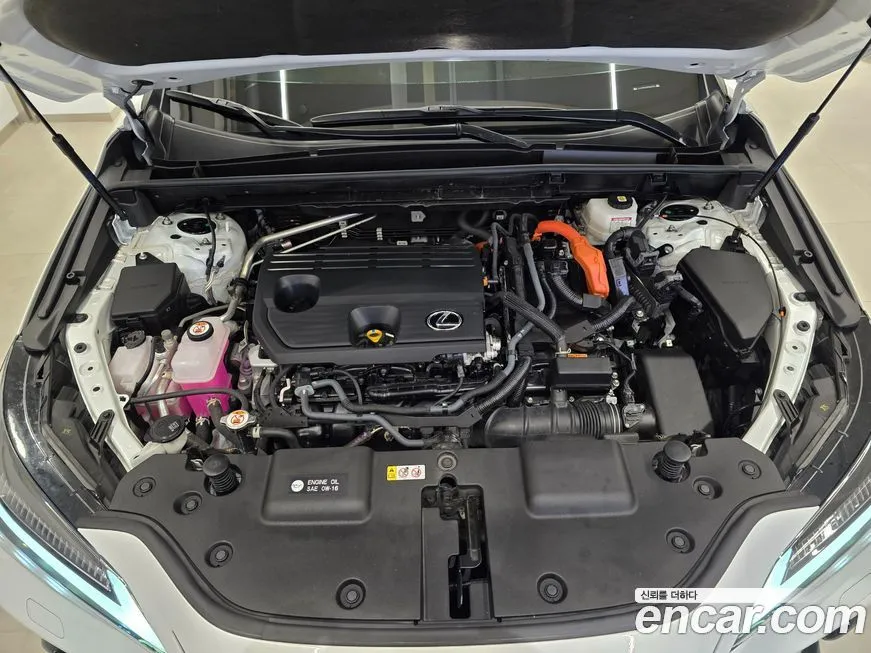 Lexus NX 2024 из KR, фото 4