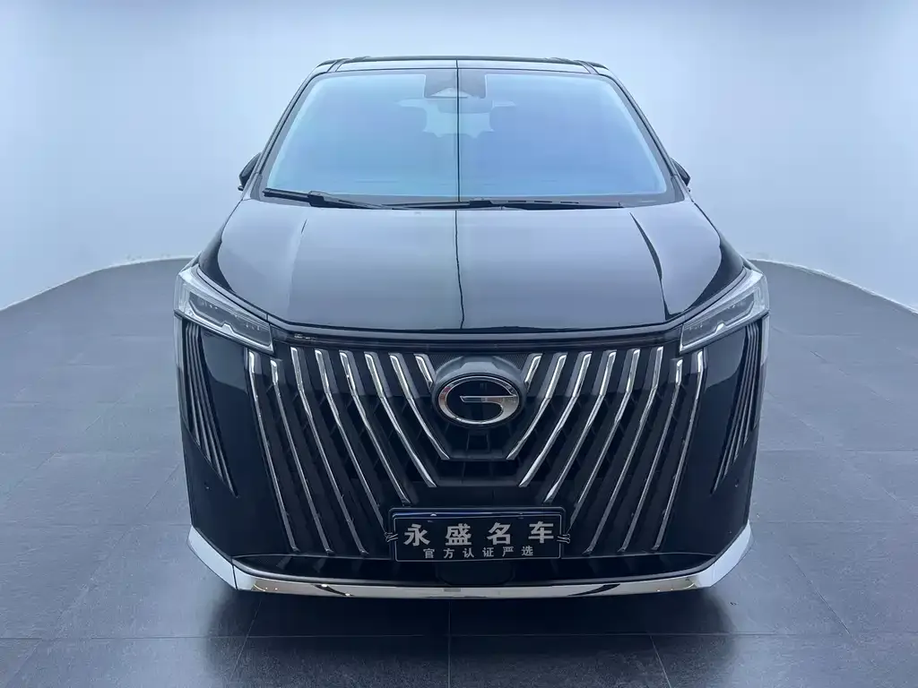 GAC Motor Trumpchi M8 2023 из CN, фото 5