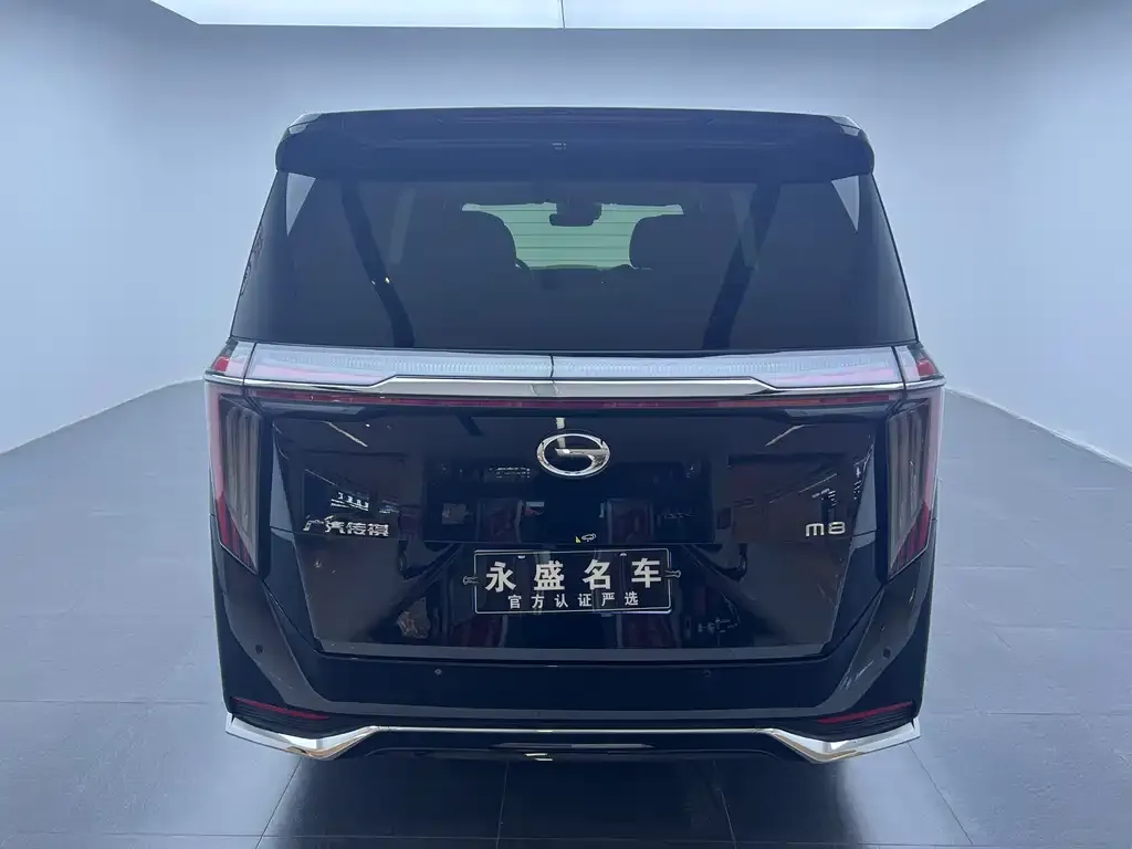 GAC Motor Trumpchi M8 2023 из CN, фото 6