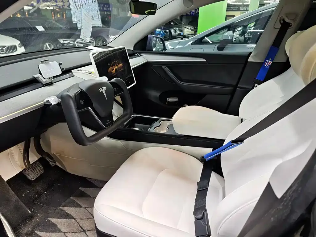 Tesla Model Y 2023 из CN, фото 3