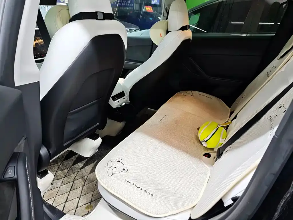 Tesla Model Y 2023 из CN, фото 2