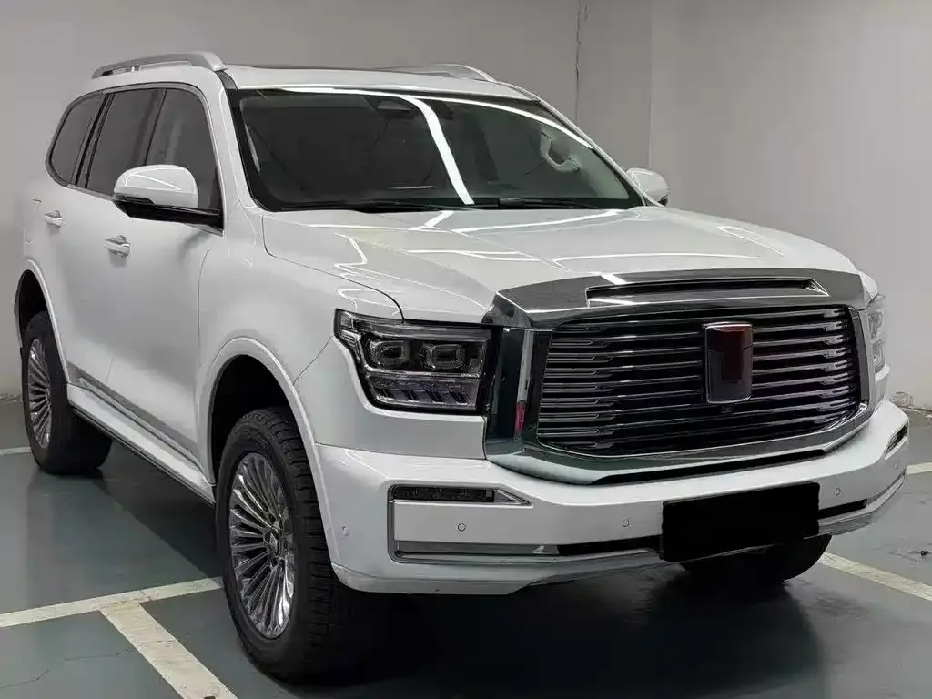 Tank 500 New Energy 2024 из CN, фото 9