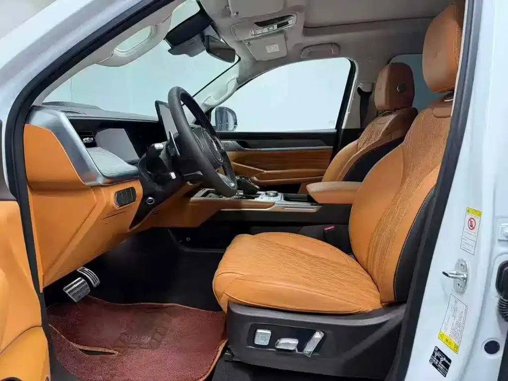 Tank 500 New Energy 2024 из CN, фото 6