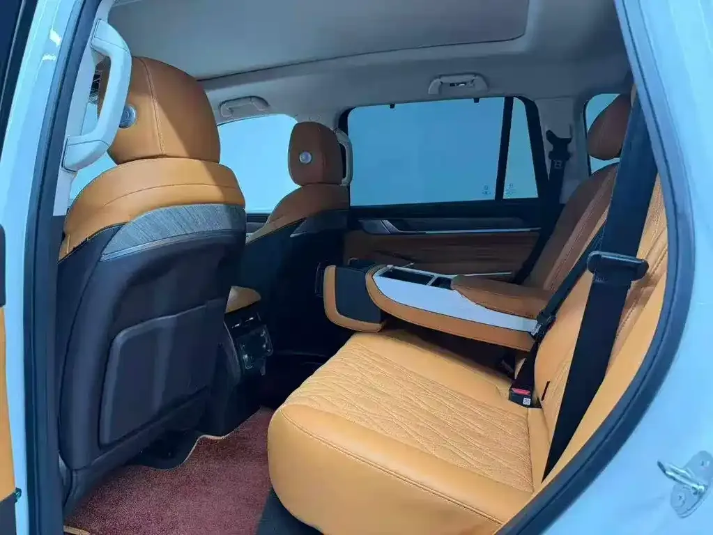 Tank 500 New Energy 2024 из CN, фото 8